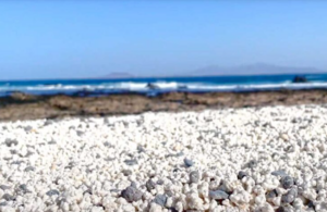 Playa de las Palomitas